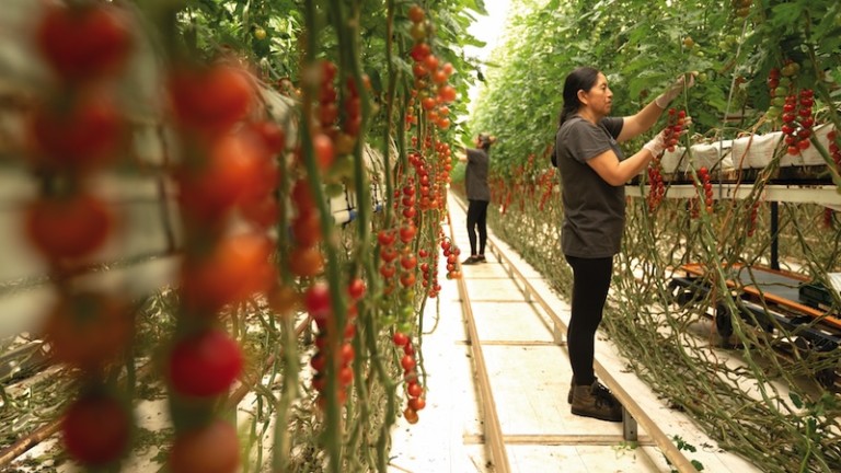 El modelo de valor de Cualin Quality