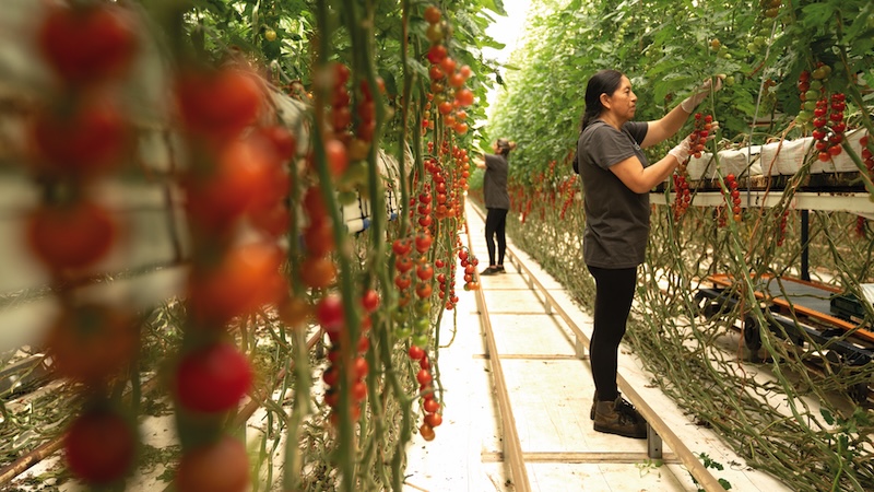 El modelo de valor de Cualin Quality