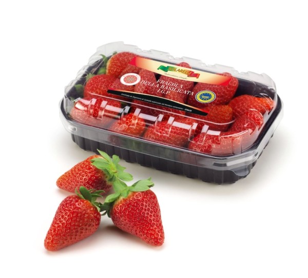 Apofruit presenta sus últimas innovaciones varietales en Macfrut