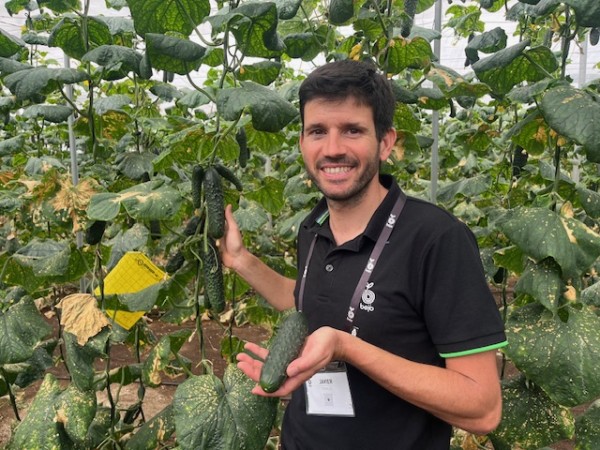 Bejo sigue desarrollando su gama de pepino corto