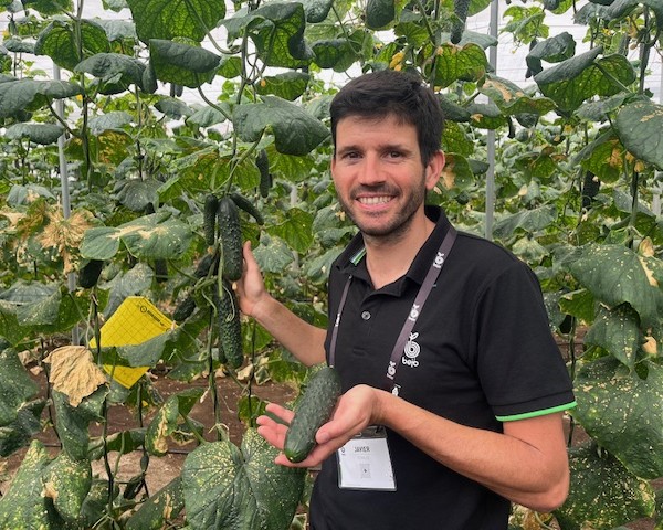 Bejo sigue desarrollando su gama de pepino corto