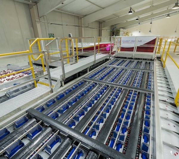 Maf Roda lleva sus soluciones basadas en IA también a la cereza