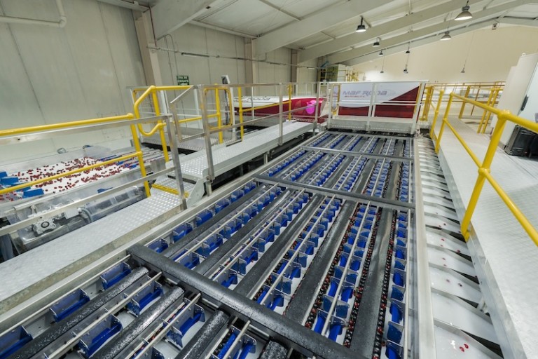 Maf Roda lleva sus soluciones basadas en IA también a la cereza