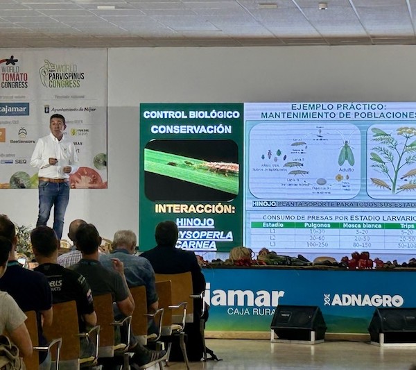 Koppert muestra las estrategias más eficaces para el control de T. Parvispinus