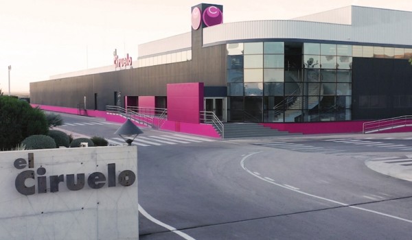 El Ciruelo, primera empresa española en iniciar la campaña de fruta de hueso nacional