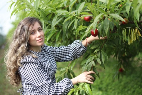 Plus Berries inicia la campaña de fruta extratemprana en Huelva