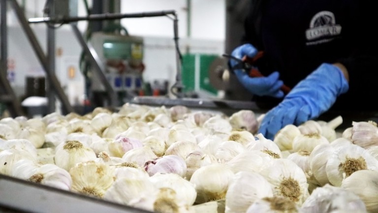 Grupo Lomar alcanza los 60 millones de euros tras crecer un 20 %