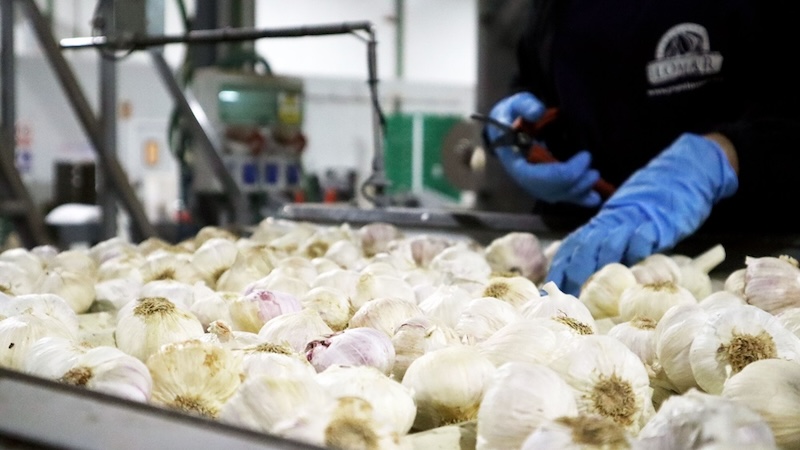 Grupo Lomar alcanza los 60 millones de euros tras crecer un 20 %