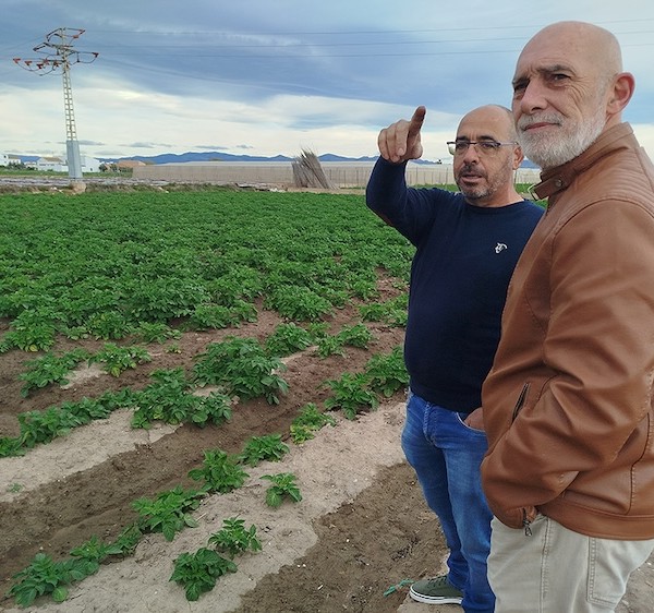 El delegado de Meliana y el técnico de hortalizas de AVA-ASAJA, Juanjo Romero y Sergio Navarro respectivamente