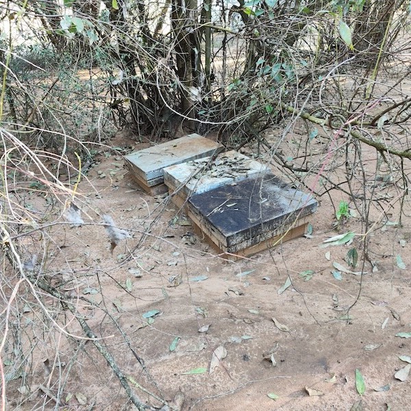 COAG Andalucía pide la ampliación del plazo para tramitar las ayudas por las borrascas