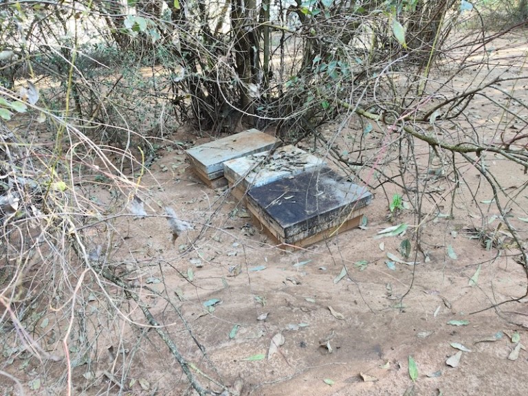 COAG Andalucía pide la ampliación del plazo para tramitar las ayudas por las borrascas