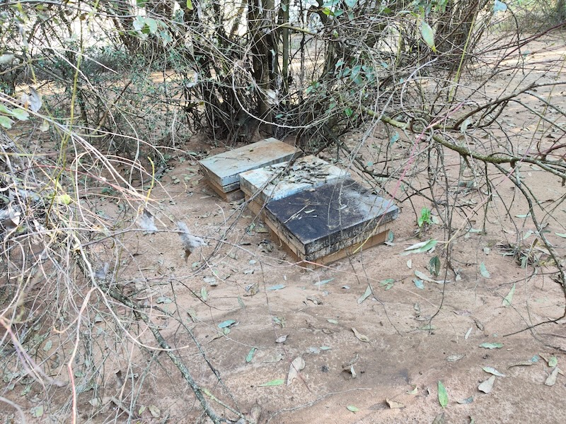 COAG Andalucía pide la ampliación del plazo para tramitar las ayudas por las borrascas
