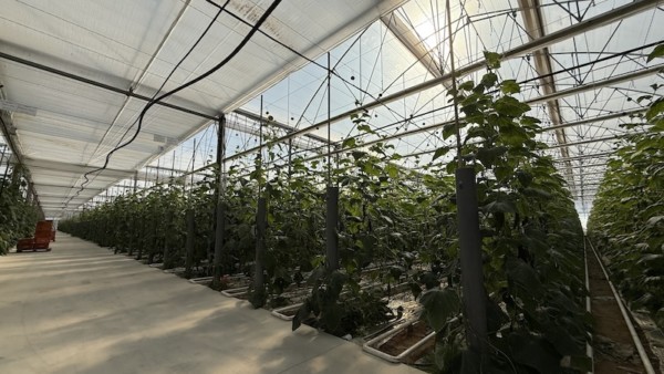 J. Huete finaliza uno de los invernaderos más tecnificados de Almería