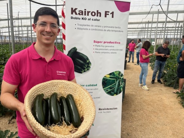 Sakata hace brillar al calabacín con Kairoh