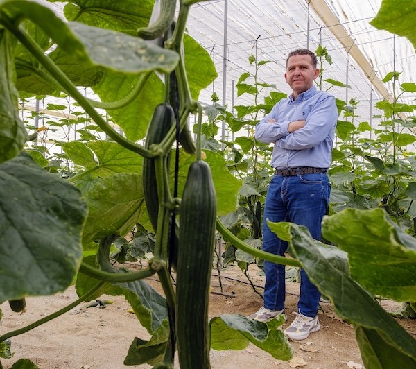 Emilio Pérez (Coprohníjar): “El pepino es tendencia consolidada en Níjar”