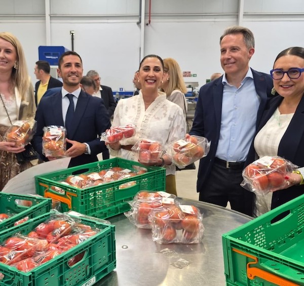 Looije multiplica por cinco su capacidad de envasado de tomate pera