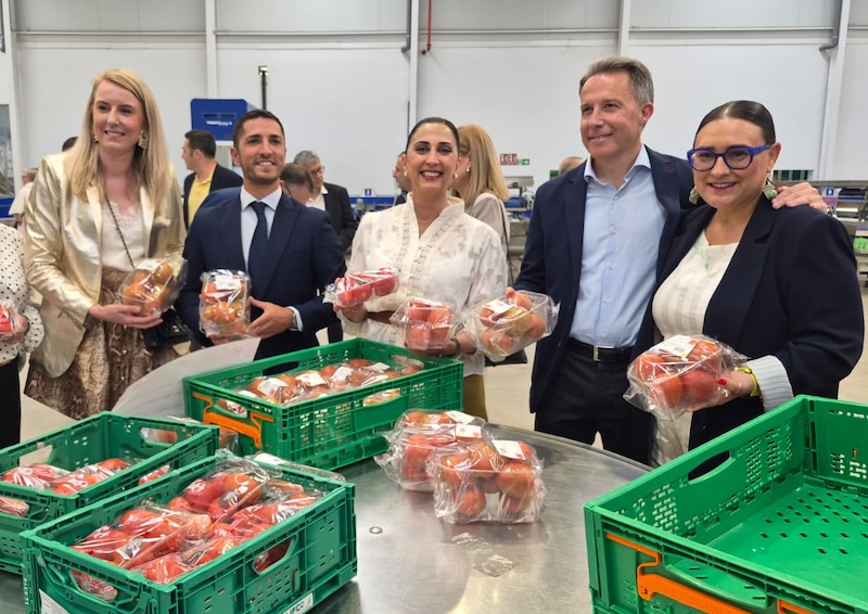 Looije multiplica por cinco su capacidad de envasado de tomate pera
