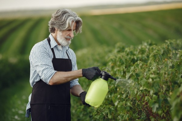 Bruselas ofrecerá ayudas a agricultores antes del verano para suministro de fertilizantes
