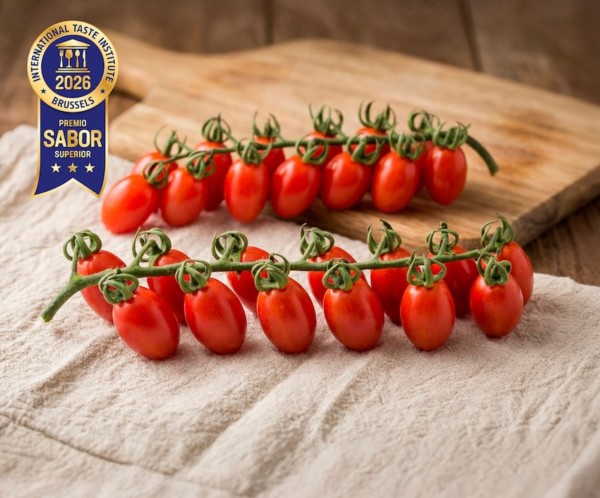 Tomate Lobello