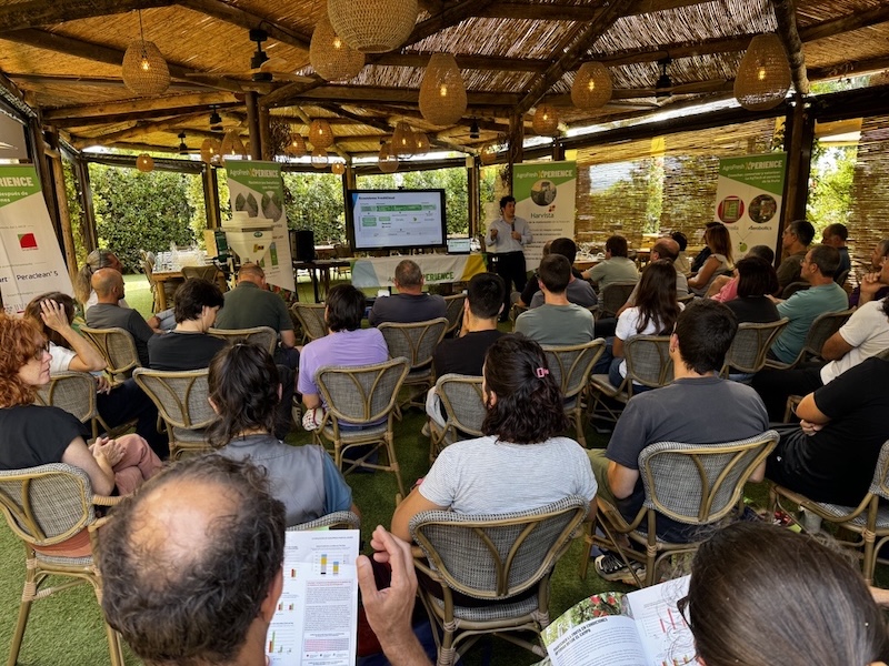 AgroFresh Xperience celebró dos eventos especializados en Girona y Lleida enfocados en el cultivo de la manzana.