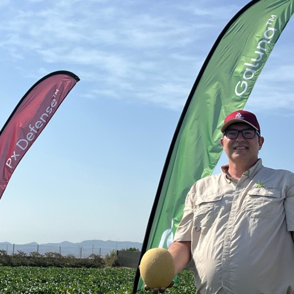 Bernardo Cuenca, crop coordinator de Melon&Watermelon EMEA de Rijk Zwaan