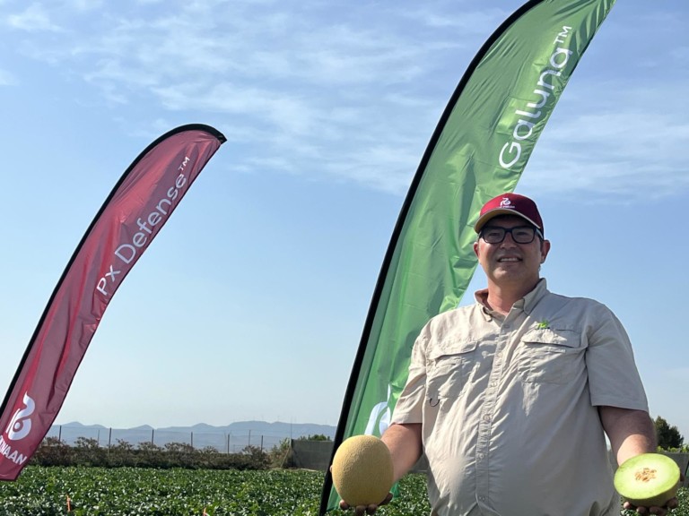 Bernardo Cuenca, crop coordinator de Melon&Watermelon EMEA de Rijk Zwaan