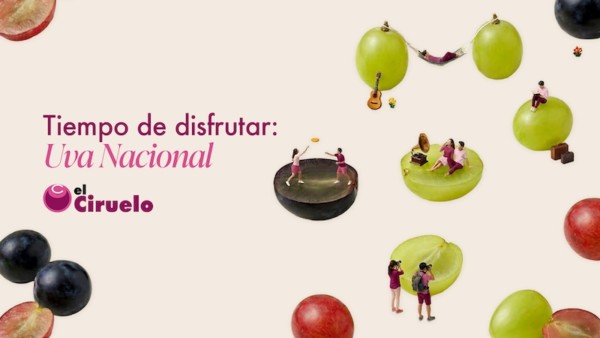 El Ciruelo prevé alcanzar las 70.000 Tn de uva de mesa esta campaña