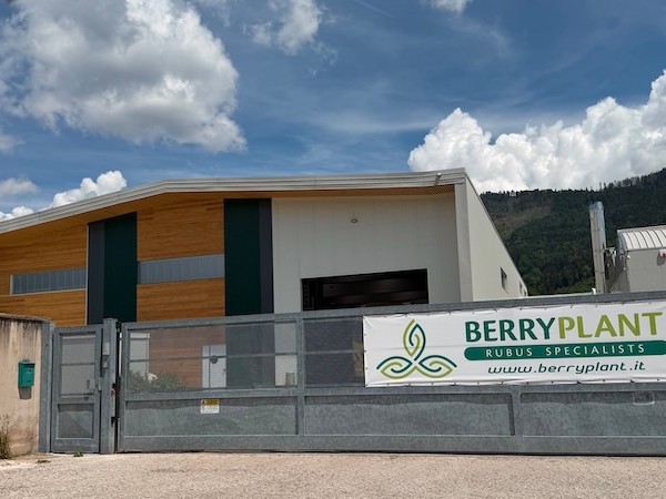 Fall Creek expande su negocio a frambuesa y mora con dos adquisiciones en Italia