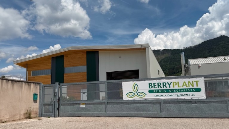 Fall Creek expande su negocio a frambuesa y mora con dos adquisiciones en Italia