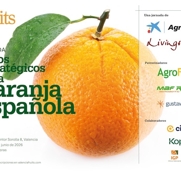 Valencia Fruits organiza una jornada en torno a los retos estratégicos del sector de la naranja en Valencia.