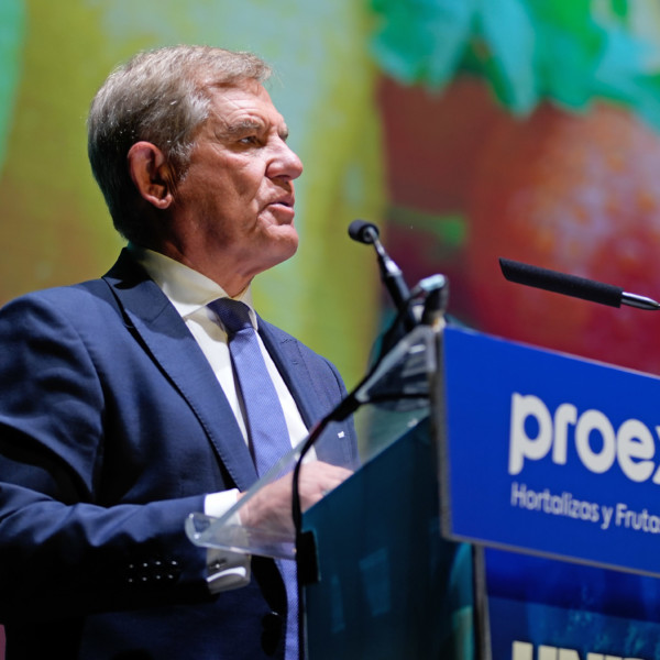 El absentismo laboral se eleva al 14% en la horticultura murciana