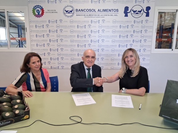 Montosa donará 1.500 kg de aguacate para familias vulnerables