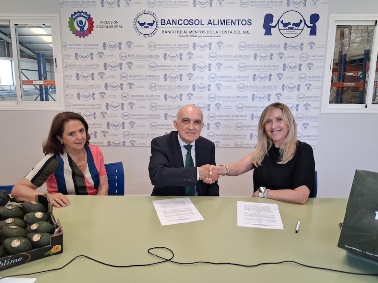 Montosa donará 1.500 kg de aguacate para familias vulnerables
