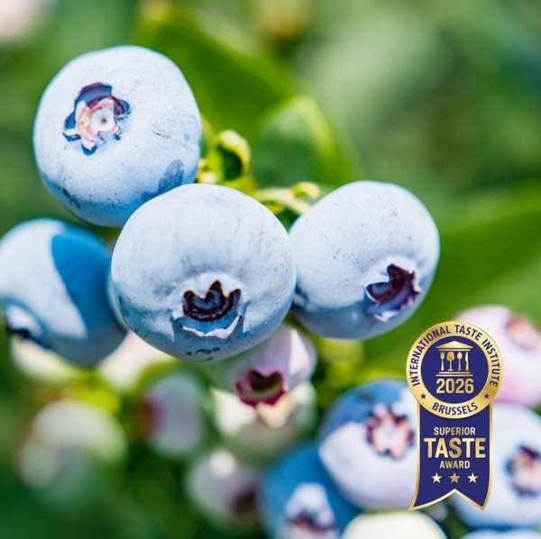 Sus variedades de arándano Blue Maldiva® y Blue Madeira® han sido distinguidas con el Superior Taste Award.