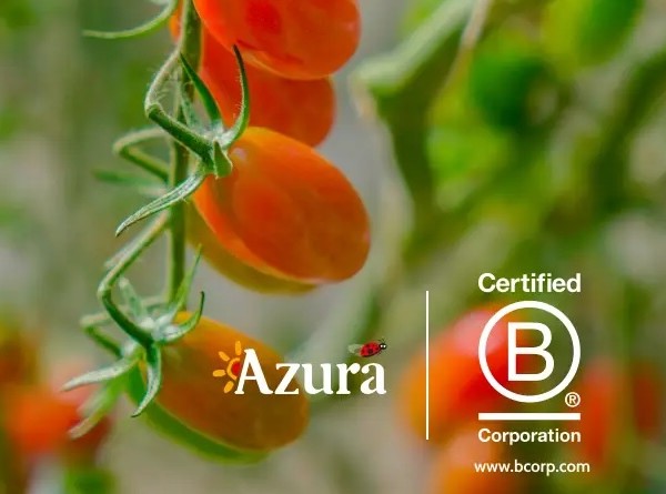 Azura logra el B Corp para sus entidades que operan con tomate cherry