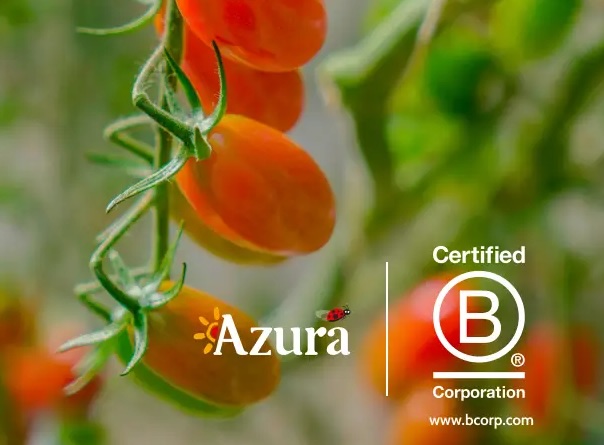 Azura logra el B Corp para sus entidades que operan con tomate cherry