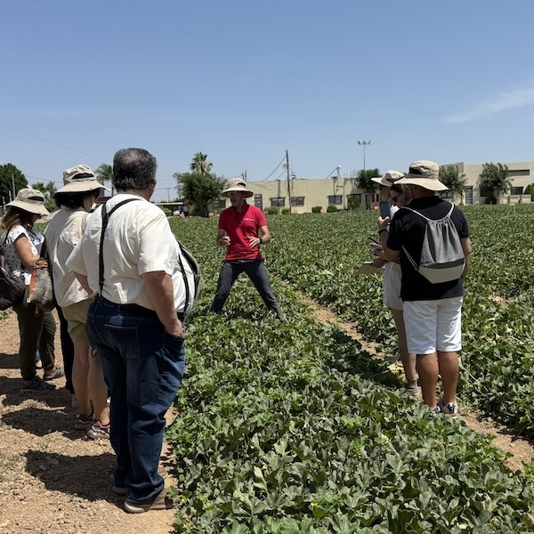 Melon & Watermelon Business Event for Experts (BEFE) de BASF|Nunhems en su Finca Lo Ruiz (Murcia)
