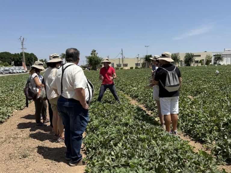 Melon & Watermelon Business Event for Experts (BEFE) de BASF|Nunhems en su Finca Lo Ruiz (Murcia)