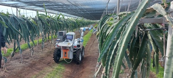 Dragonbot, un robot para la recolección de frutas delicadas