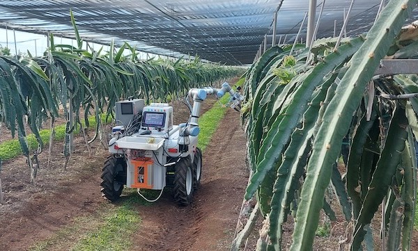 Dragonbot, un robot para la recolección de frutas delicadas
