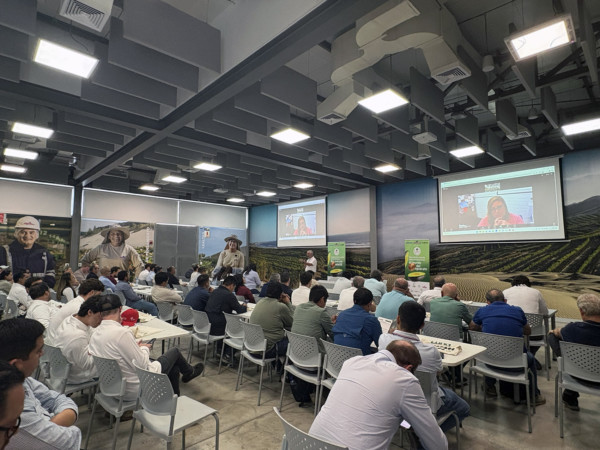 Un momento de las presentaciones realizadas en las instalaciones del packaging de Mission Produce en Perú. Al fondo de la imagen, Javier Cano, director de Green Motion Avocados
