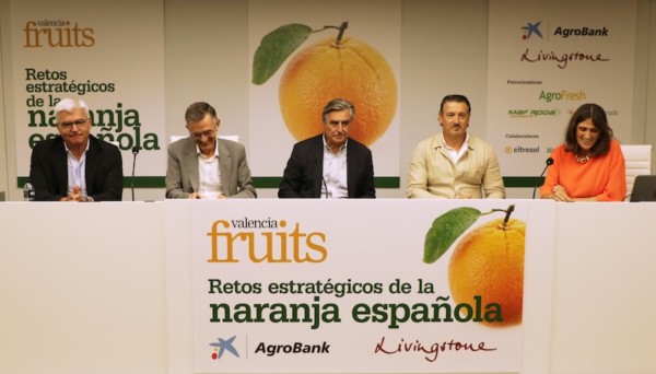 Jornada "Retos estratégicos de la naranja española", organizada por Valencia Fruits.