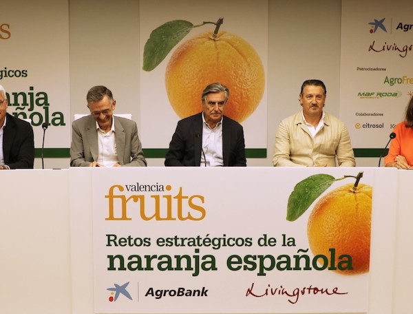 Jornada "Retos estratégicos de la naranja española", organizada por Valencia Fruits.