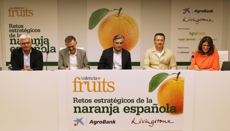 Jornada "Retos estratégicos de la naranja española", organizada por Valencia Fruits.