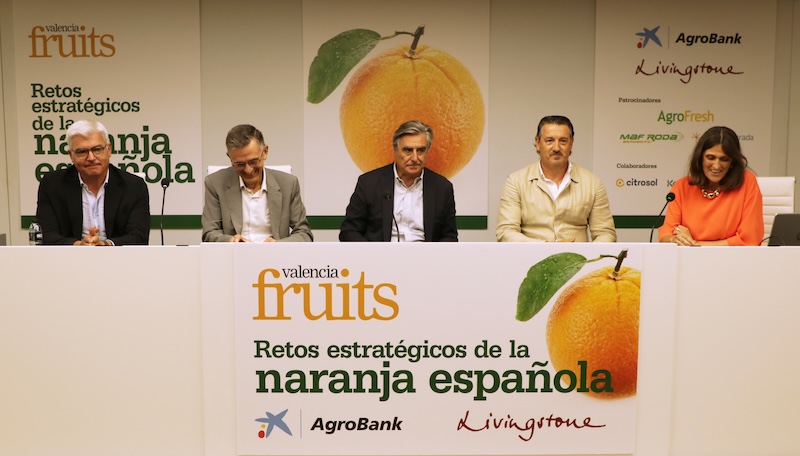 Jornada "Retos estratégicos de la naranja española", organizada por Valencia Fruits.