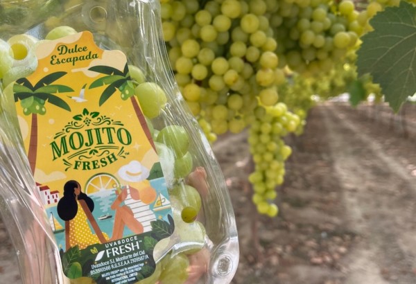 Variedad de uva de mesa Mojito Fresh™ de Uvasdoce