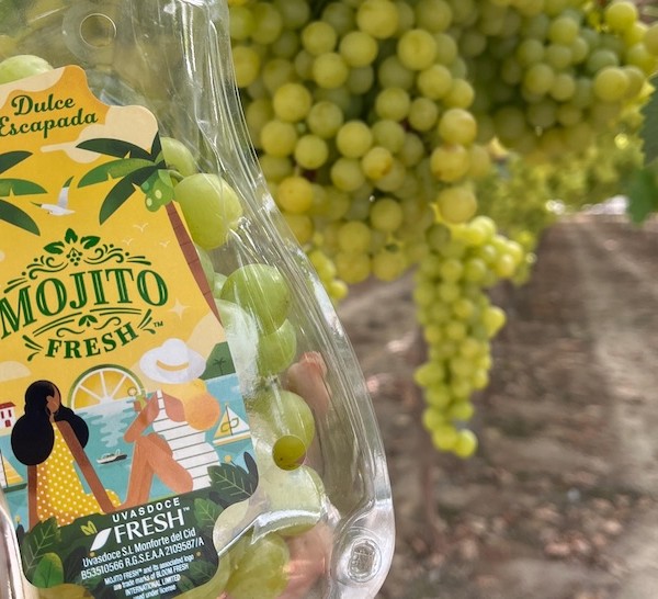 Variedad de uva de mesa Mojito Fresh™ de Uvasdoce