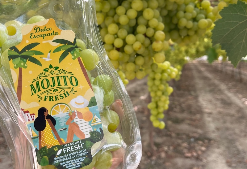 Variedad de uva de mesa Mojito Fresh™ de Uvasdoce