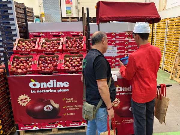 Frutaria lleva la platerina Ondine® de promoción a Mercamadrid