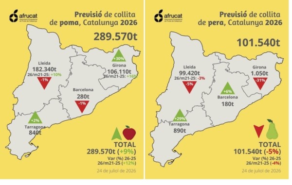Previsiones de las cosechas de manzana y pera en Cataluña. / Fuente: Afrucat